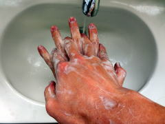 手の甲をもう片方の手の平でもみ洗う