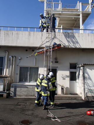 三連梯子を用いた高所からの救出訓練の様子